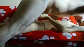 Live ABG Bispak Jakarta Hotel Bintang Lima